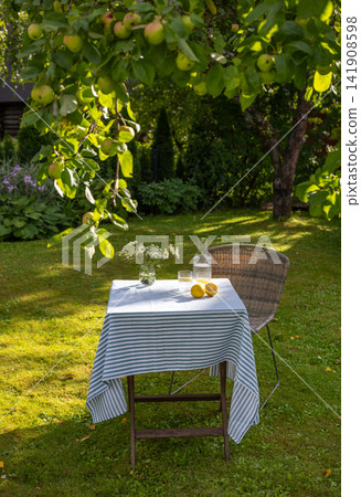Refreshing Lemon Water on Garden Table in Sunny Summer Backyard Refreshing Lemon Water on Garden Table in Sunny Summer Backyard 141908598