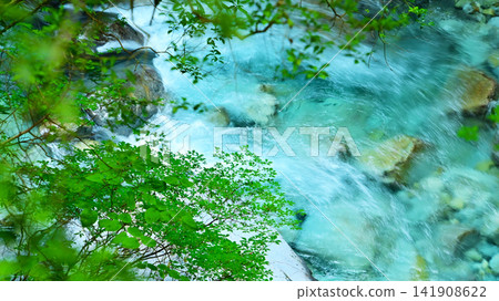 清澈美麗的築地川 清澈美麗的築地川 141908622