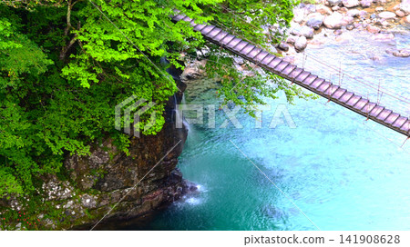 美麗的築地川和矢次郎橋 美麗的築地川和矢次郎橋 141908628