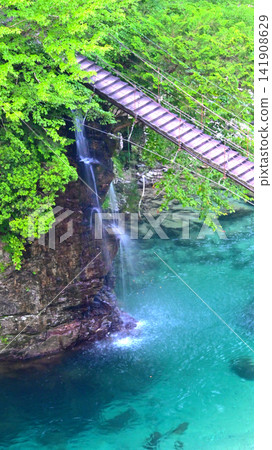 美麗的築地川和矢次郎橋 美麗的築地川和矢次郎橋 141908629