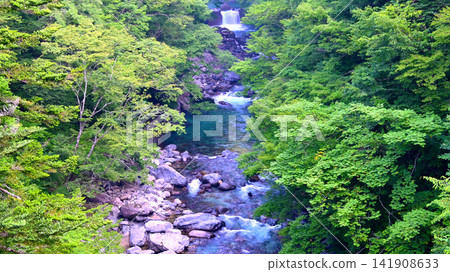築地峽的河水很乾淨 築地峽的河水很乾淨 141908633