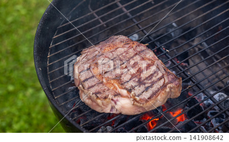 Juicy Beef Steak Grilling on Charcoal Barbecue in Garden Juicy Beef Steak Grilling on Charcoal Barbecue in Garden 141908642