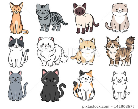 Set of 12 cat illustrations Set of 12 cat illustrations 141908675