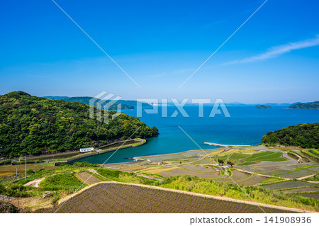土屋梯田（水稻插秧後）[長崎縣松浦市] 141908936