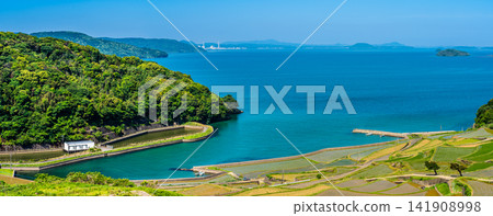 土屋梯田（水稻插秧後）全景 [長崎縣松浦市] 141908998