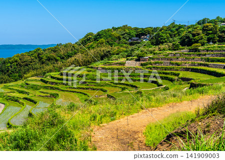 Tsuchiya Rice Terraces (after rice planting) [Matsuura City, Nagasaki Prefecture] 141909003