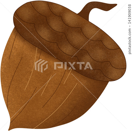 brown oak acorn illustration brown oak acorn illustration 141909038