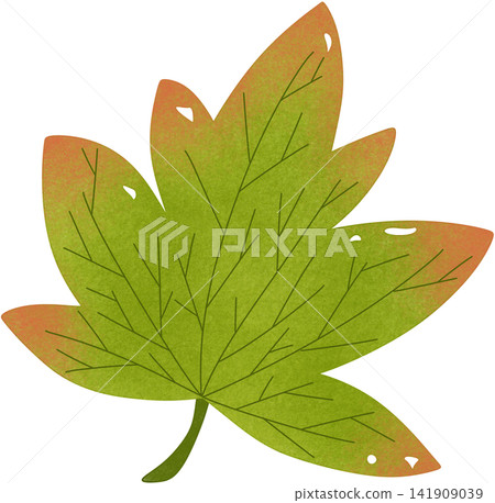 green maple leaf green maple leaf 141909039