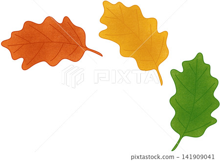 three oak leaf three oak leaf 141909041