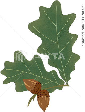oak branch illustration oak branch illustration 141909042