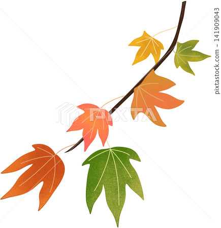 colorful maple branch colorful maple branch 141909043