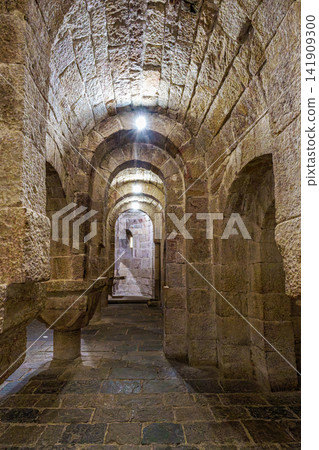 Interior of the crypt of the Monastery of San Salvador of Leyre Interior of the crypt of the Monastery of San Salvador of Leyre 141909300