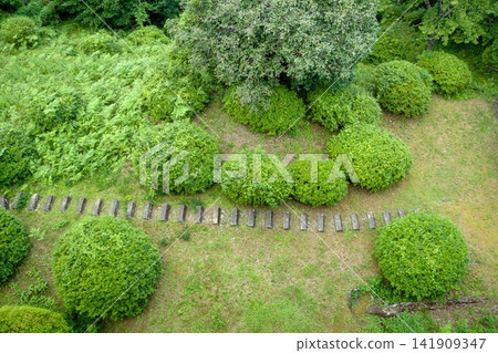 日式花園全景 日式花園全景 141909347