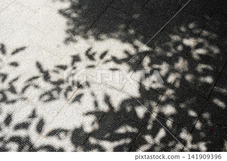 Sunlit leaves shadow on paving block Sunlit leaves shadow on paving block 141909396