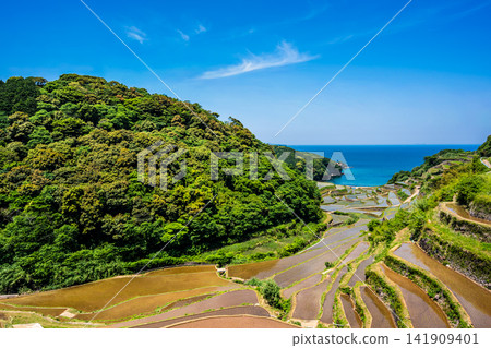 Hamanoura Rice Terraces (after rice planting) [Genkai Town, Higashimatsuura District, Saga Prefecture] 141909401