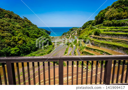 濱之浦梯田（稻米種植後）[佐賀縣東松浦郡玄海町] 141909417