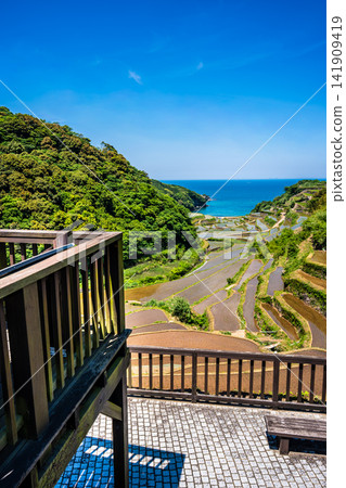 濱之浦梯田（稻米種植後）[佐賀縣東松浦郡玄海町] 141909419