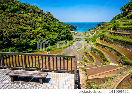 濱之浦梯田（稻米種植後）[佐賀縣東松浦郡玄海町] 141909421