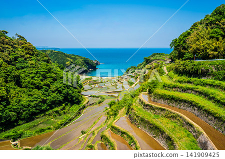 濱之浦梯田（稻米種植後）[佐賀縣東松浦郡玄海町] 141909425
