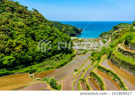 濱之浦梯田（稻米種植後）[佐賀縣東松浦郡玄海町] 141909427