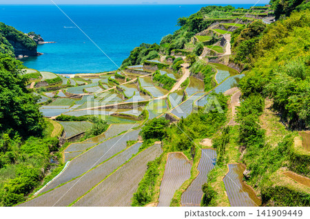 Hamanoura Rice Terraces (after rice planting) [Genkai Town, Higashimatsuura District, Saga Prefecture] 141909449
