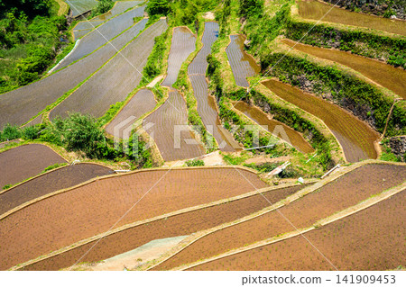 濱之浦梯田（稻米種植後）[佐賀縣東松浦郡玄海町] 141909453