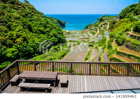 濱之浦梯田（稻米種植後）[佐賀縣東松浦郡玄海町] 141909461