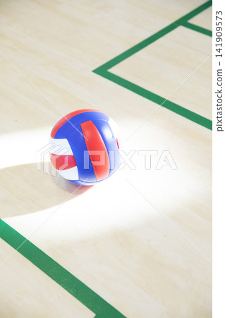 Single volleyball resting on polished hardwood gym court, showing red white blue panels and shadow Single volleyball resting on polished hardwood gym court, showing red white blue panels and shadow 141909573