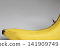 Miniature man skiing on a yellow ripe banana 141909749