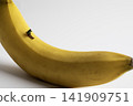 Miniature man skiing on a yellow ripe banana 141909751