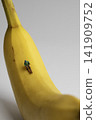 Miniature man skiing on a yellow ripe banana 141909752