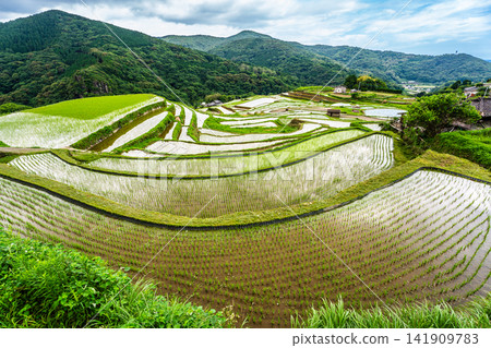 Onakao Rice Terraces (after rice planting) [Nagasaki City] 141909783