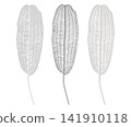 種族植物 141910118