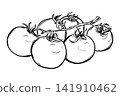 A bunch of pomidoro on a vine in a sketchy style. Vector clip art. Cherry tomatoes lie on a table in a doodle style. Hand drawn product labels, recipe cards, and kitchen themed designs. 141910462