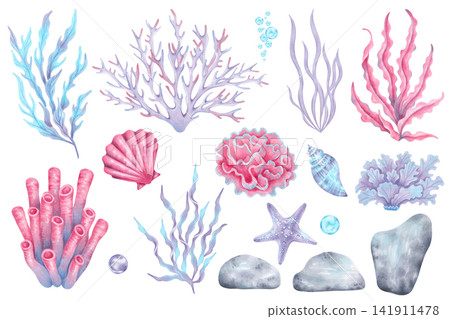 Set of marine elements shells, starfish, corals, seaweed, stones and bubbles. Underwater world of the seabed. Hand drawn watercolor illustration. Clipart for childrens design, tourism and travel Set of marine elements shells, starfish, corals, seaweed, stones and bubbles. Underwater world of the seabed. Hand drawn watercolor illustration. Clipart for childrens design, tourism and travel 141911478