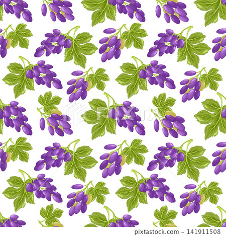 Grapes seamless pattern. Grapevine with leaves and purple berries, vinery elements. Fresh harvest, agricultural market goods. Fruit vector illustration on white background Grapes seamless pattern. Grapevine with leaves and purple berries, vinery elements. Fresh harvest, agricultural market goods. Fruit vector illustration on white background 141911508