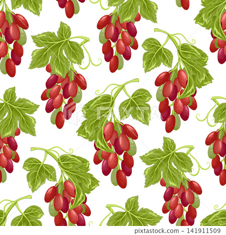 Grapes seamless pattern. Grapevine with leaves and red berries, vinery elements. Fresh harvest, agricultural market goods. Fruit vector illustration on white background Grapes seamless pattern. Grapevine with leaves and red berries, vinery elements. Fresh harvest, agricultural market goods. Fruit vector illustration on white background 141911509
