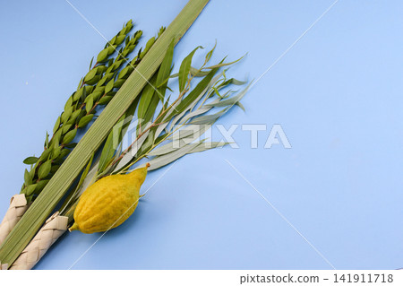 Four species lulav etrog set for sukkot holiday Four species lulav etrog set for sukkot holiday 141911718