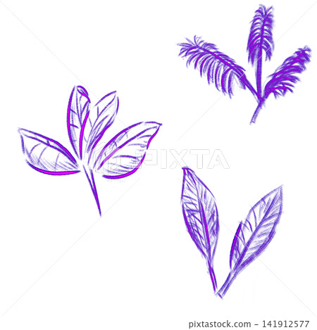 Three leaf rubbings in color hues pencil sketch Three leaf rubbings in color hues pencil sketch 141912577