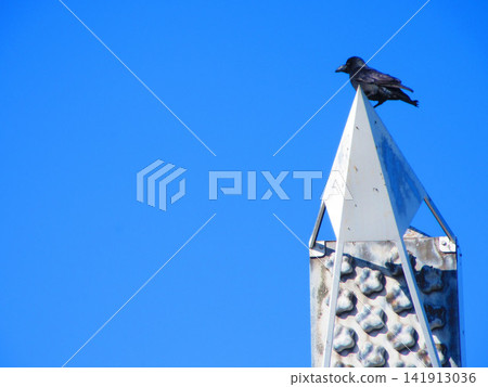 A crow perched on top of a bridge pillar against a blue sky. A crow perched on top of a bridge pillar against a blue sky. 141913036