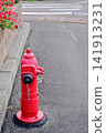 Outdoor fire hydrants installed on sidewalks 141913231