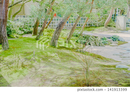 Beautiful gardens of Shimane Prefecture Beautiful gardens of Shimane Prefecture 141913399