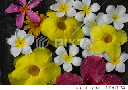 水盆中的花卉擺設 水盆中的花卉擺設 141913480