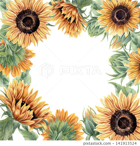 Sunflower frame with blooming yellow flower heads and green leaves. Watercolor botanical illustration border for wedding invitation, greeting card and scrapbooking decoration design. Sunflower frame with blooming yellow flower heads and green leaves. Watercolor botanical illustration border for wedding invitation, greeting card and scrapbooking decoration design. 141913524