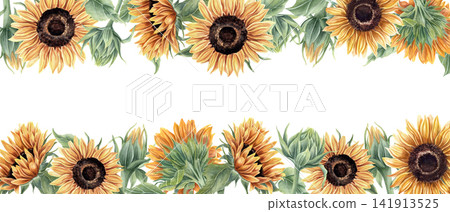 Sunflower horizontal border illustration painted with watercolor. Orange yellow flowers rectangle frame on isolated background. Summer nature plant template for greeting card and invitation design 141913525