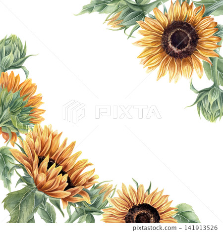Watercolor blooming sunflower square frame on isolated background. Hand painted floral border arrangement with yellow flower blossom and green leaf. Wedding stationery design or greeting card template Watercolor blooming sunflower square frame on isolated background. Hand painted floral border arrangement with yellow flower blossom and green leaf. Wedding stationery design or greeting card template 141913526