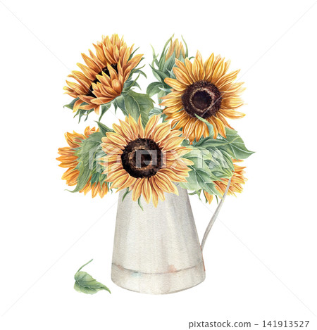 Sunflower bouquet in metal pitcher watercolor isolated illustration. Yellow orange summer flowers on stem with leaves. in vase. Hand painted summer composition for rustic home decor, greeting card Sunflower bouquet in metal pitcher watercolor isolated illustration. Yellow orange summer flowers on stem with leaves. in vase. Hand painted summer composition for rustic home decor, greeting card 141913527
