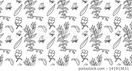 Hedge Hyssop Line Art Seamless Botanical Pattern Hedge Hyssop Line Art Seamless Botanical Pattern 141913631