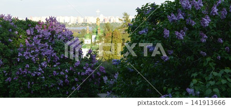 The Botanical Garden in Kyiv - lilac bushes and a church The Botanical Garden in Kyiv - lilac bushes and a church 141913666