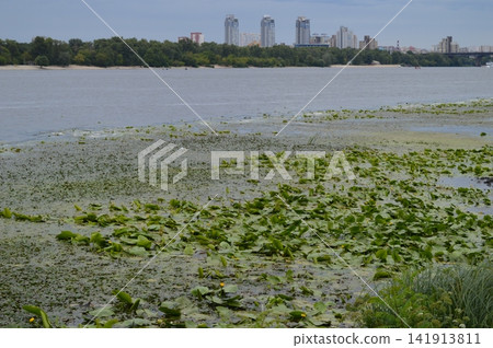 High-rise buildings of Kyiv near the Dnipro river, river plants and the beach High-rise buildings of Kyiv near the Dnipro river, river plants and the beach 141913811